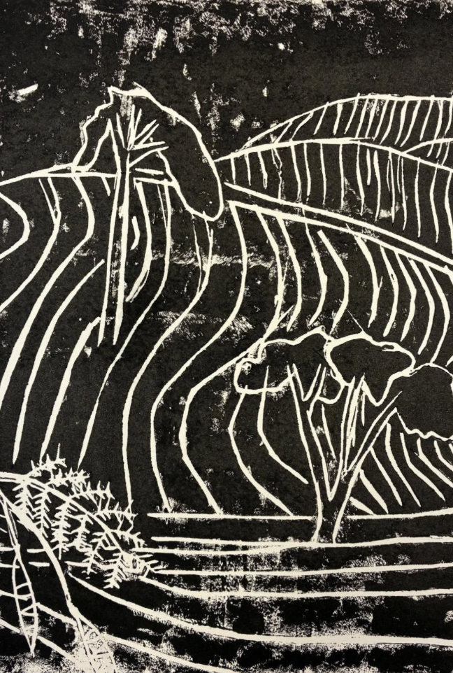 Linoprint of a tea plantation with dotted trees breaking the symmetry of tended tea bushes